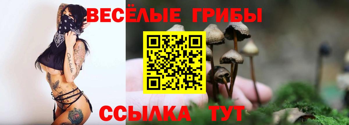 Магнитогорск  Псилоцибиновые грибы прущие грибы  Вход с VPN 